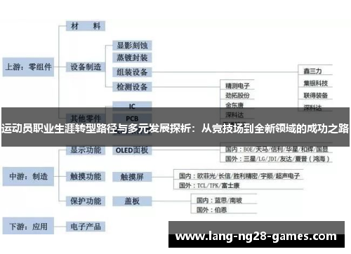 运动员职业生涯转型路径与多元发展探析：从竞技场到全新领域的成功之路