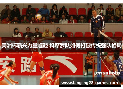 美洲杯新兴力量崛起 科摩罗队如何打破传统强队格局